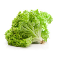 Green Leaf Lettuce - 1 Each